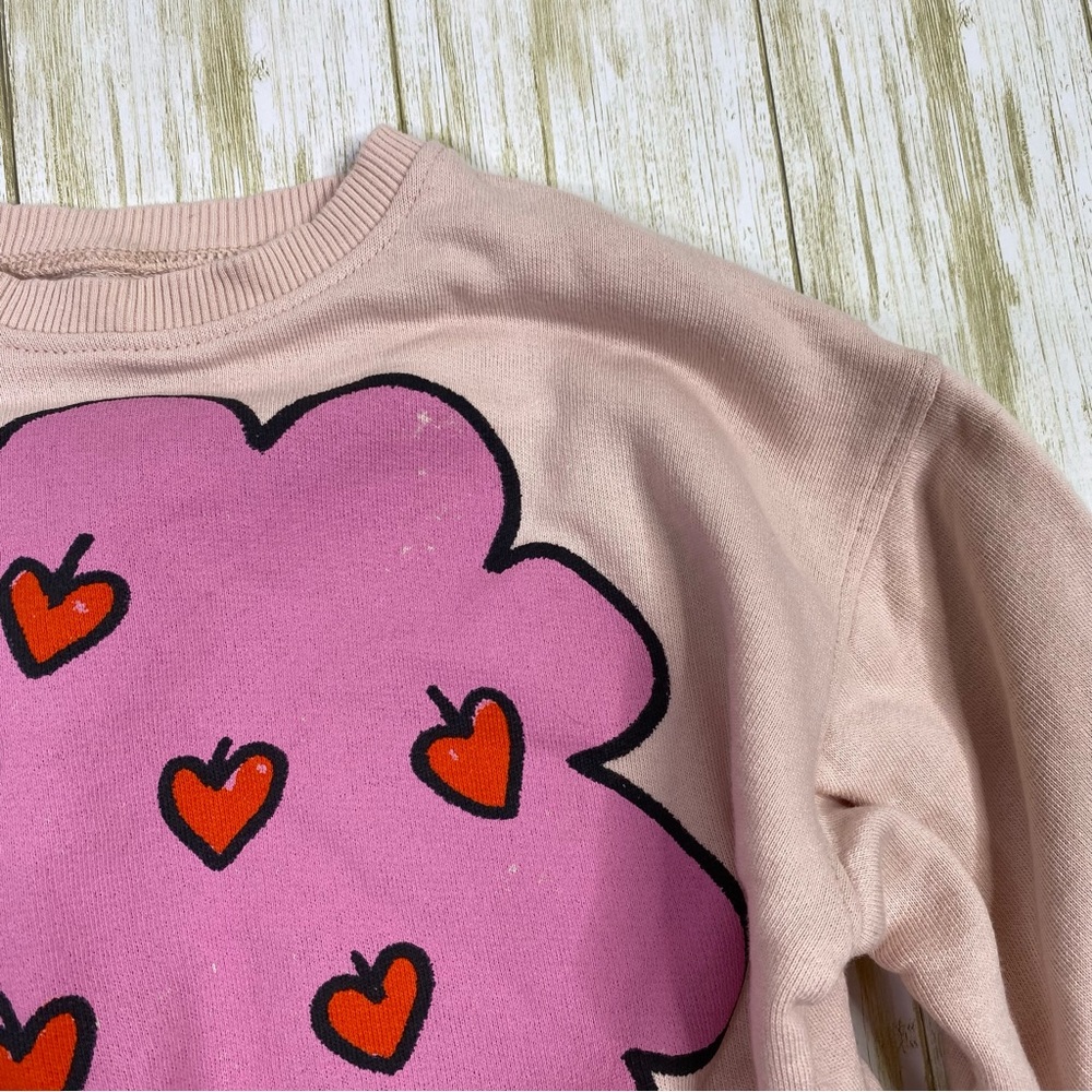 Zara Kids Pink Contrasting Apple Long Sleeve Dress - Picture 3 of 7